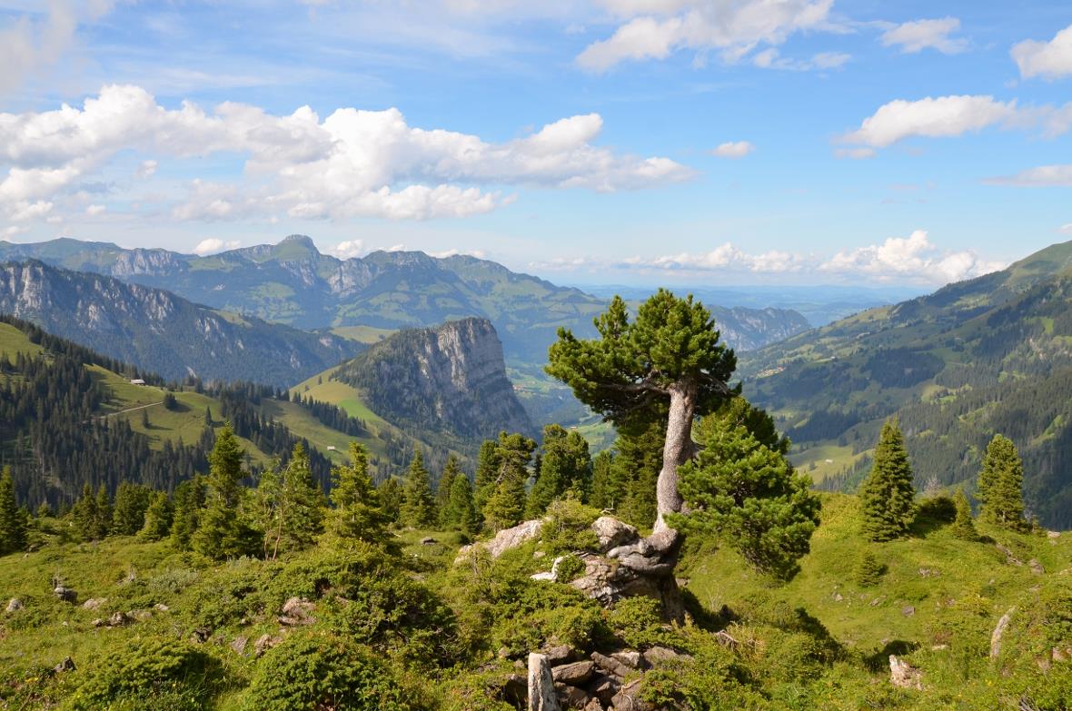 Ein solcher Anblick vom Diemtigtal erfreut die Gäste.