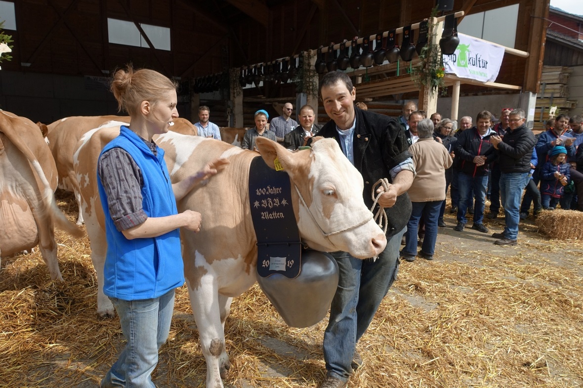 Ein weiterer Höhepunkt war die Wahl der Platzmiss: Die SF-Kuh «Tamara» aus dem S...