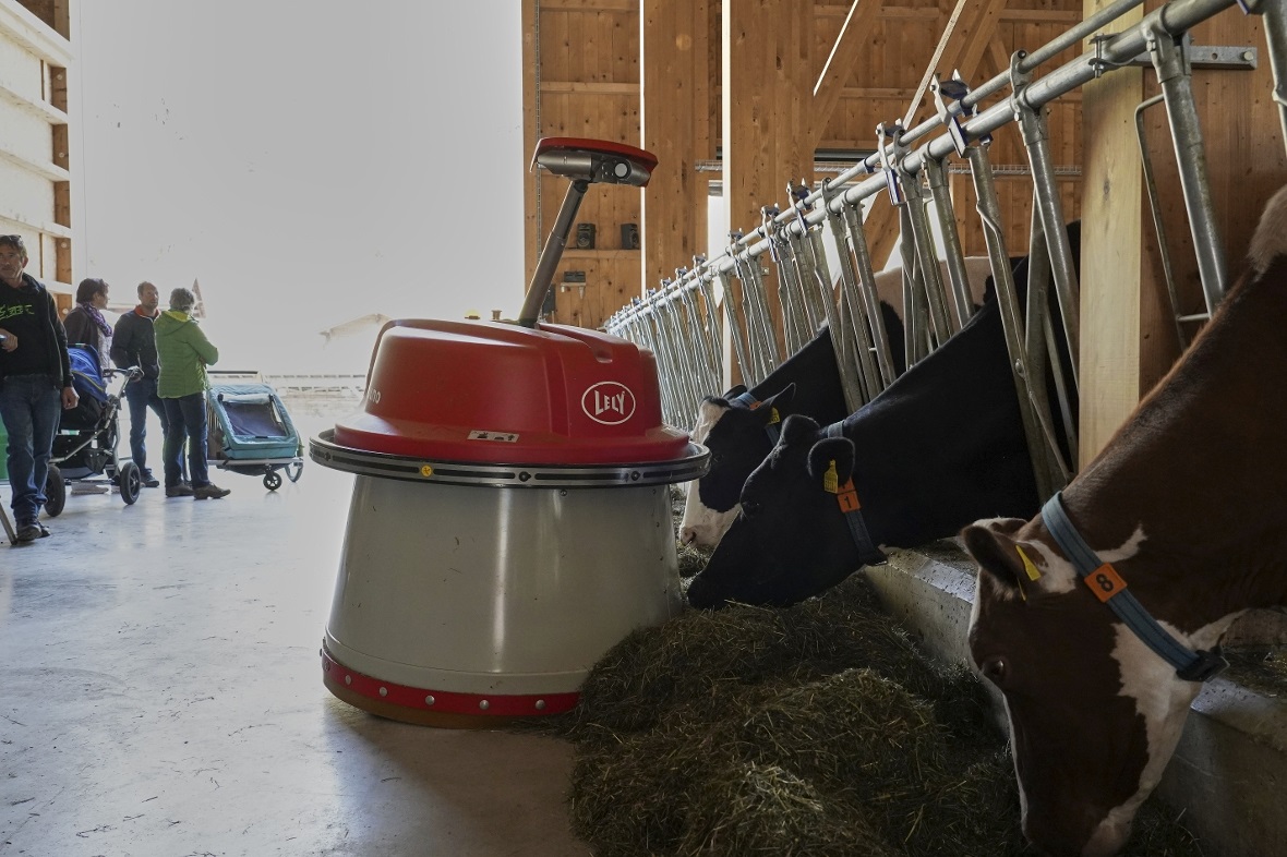 Ein weiterer automatischer Hof-Helfer: Der Futterschieber in Aktion.