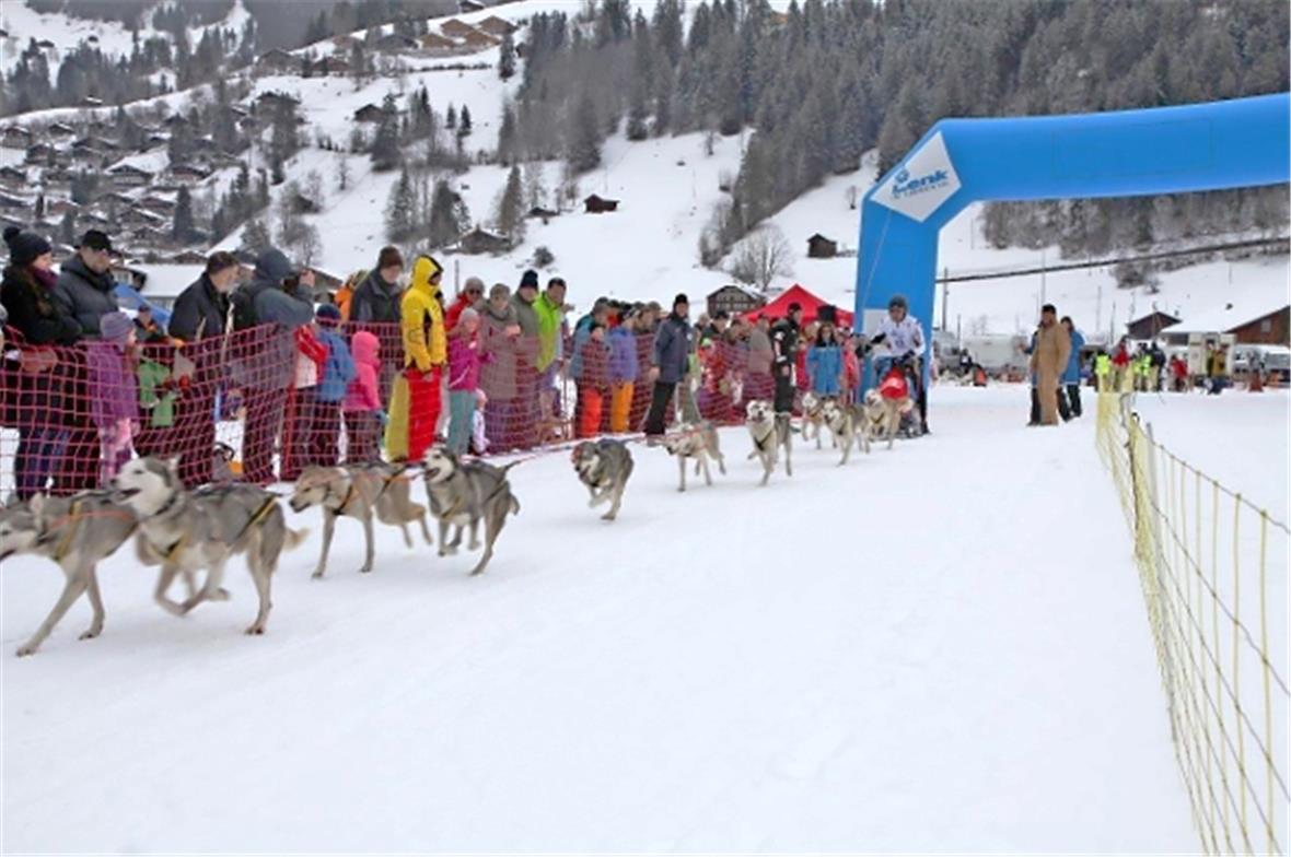 Ein zehn Hunde-Schlitten am Start.