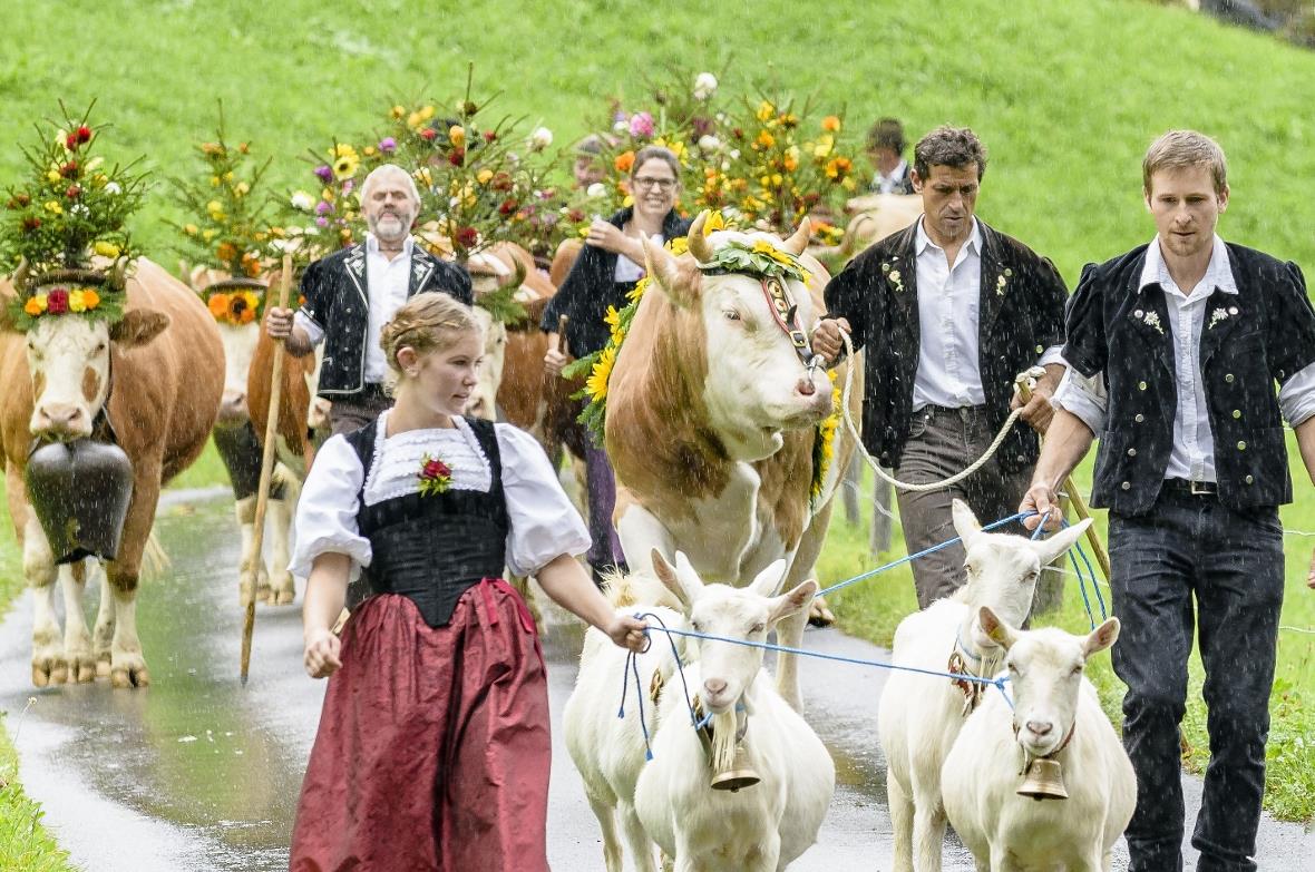 Eine Chüjerfamilie mit festlich geschmückten Kühen.