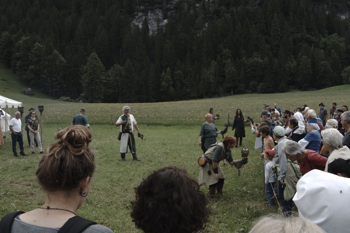 Eine Falknerei präsentierte ihre Vögel, einen Kaninchenkauz, mehrere Falken und ...