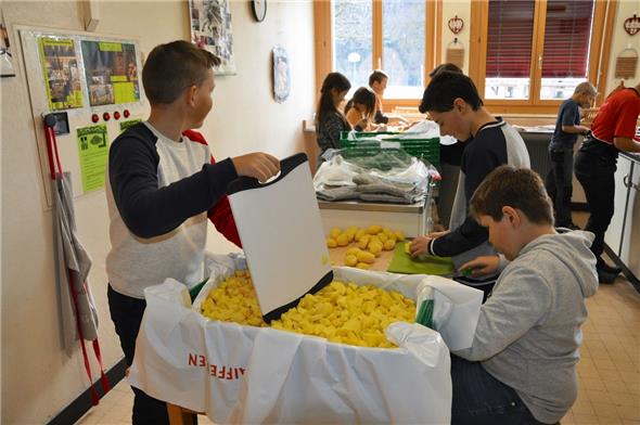 Eine Kiste Kartoffeln ist schon fertig – wo ist die nächste?