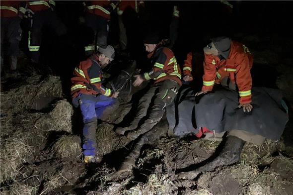 Eine Reihe von Helfern kümmerten sich am Boden um das eingesunkene Pferd, bevor es mit dem Helikopter gerettet werden konnte.