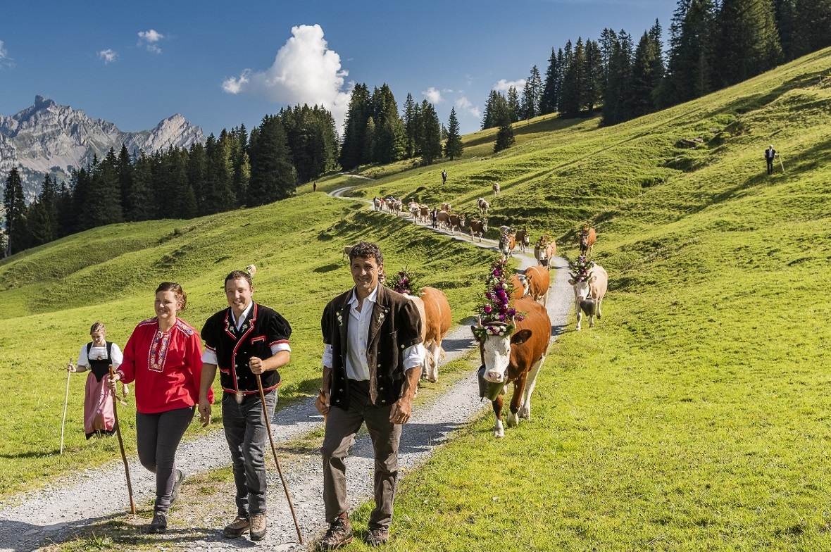 Eine der drei Zügleten, die von den Alpen im Dürrenwald herunter kamen.