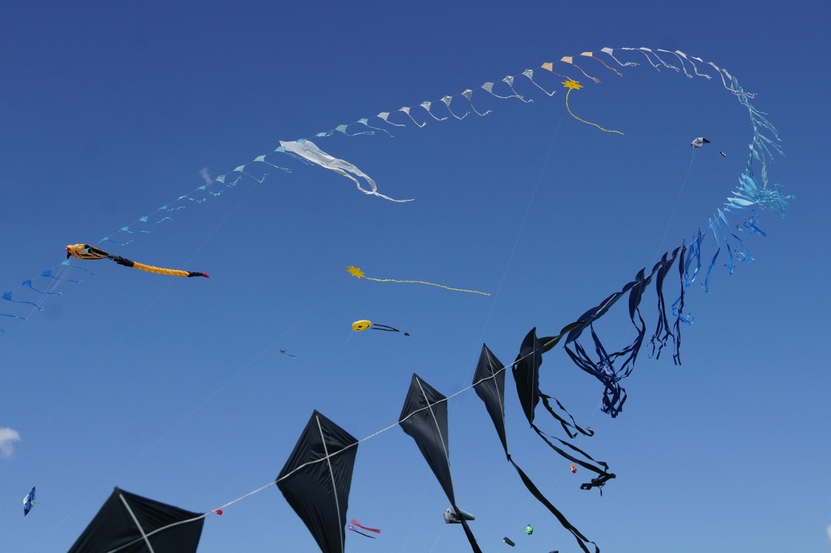 Eine vielfältige Mischung aus Farben und Formen am Himmel.