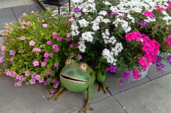 Einen Ausschnitt aus der Blumenvielfalt der Gewinnerin.