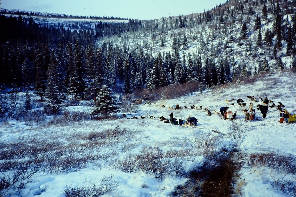 Einer der 25 Checkpoints am «Iditarod 2019» in Alaska.