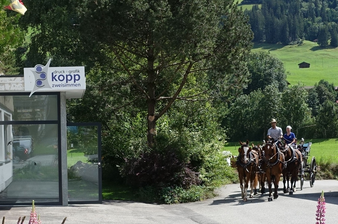 Einfahrt bei der Kopp Druck + Grafik in Zweisimmen.