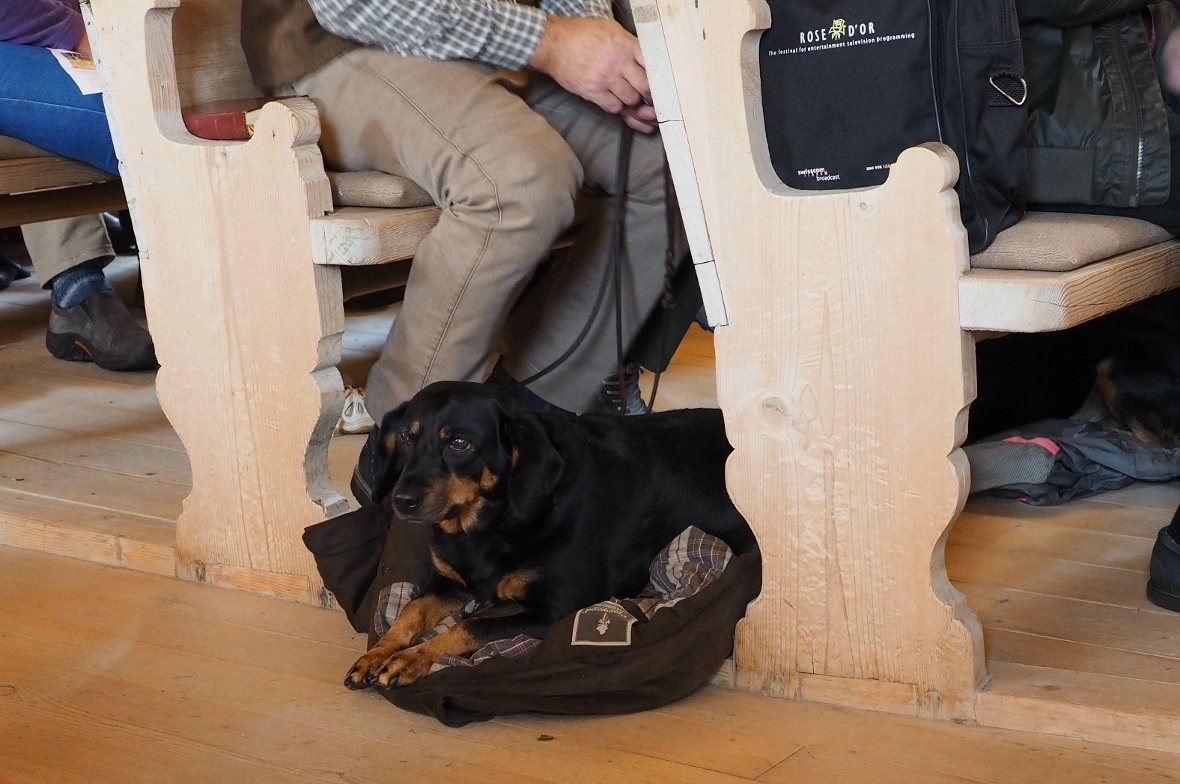 Einige der Hunde blieben bis zum Ende des Gottesdienstes.