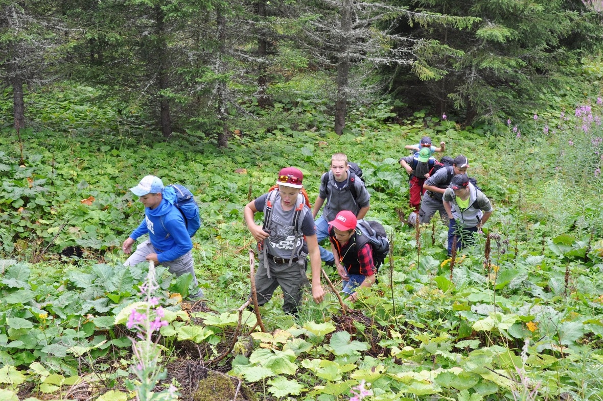 Einige nehmen auch mal eine Abkürzung…