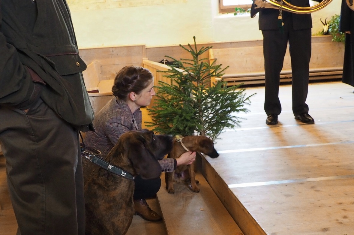 Einzug der Hunderführer und -führerinnen mit musikalischer Begleitung. Renate Kö...