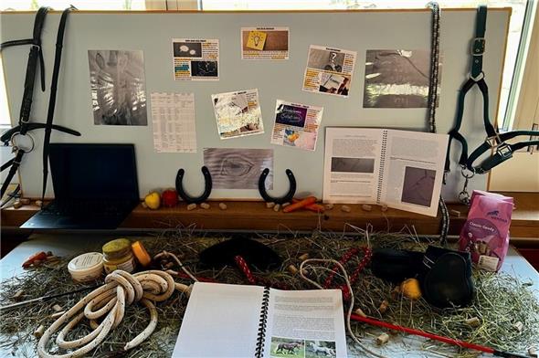 Erfolgreiche Projektarbeit: Pferde-Ratgeber «Im Kopf der Pferde».