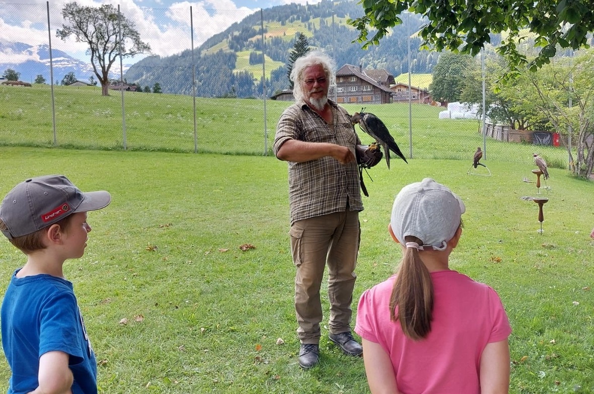 Erlebnis-Falknerei und Falkenflüge.