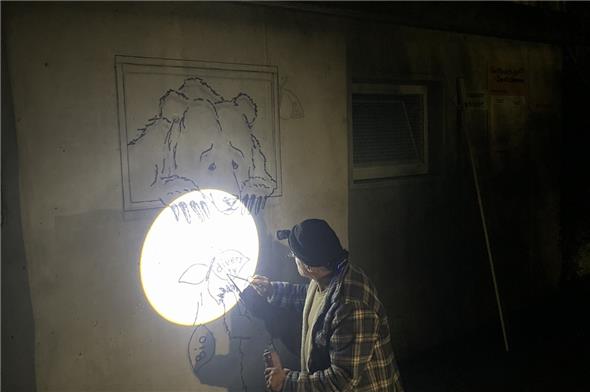 Es ist der Lenker Pascal Baur, der die Bären bei der Badi Zweisimmen gemalt hat.