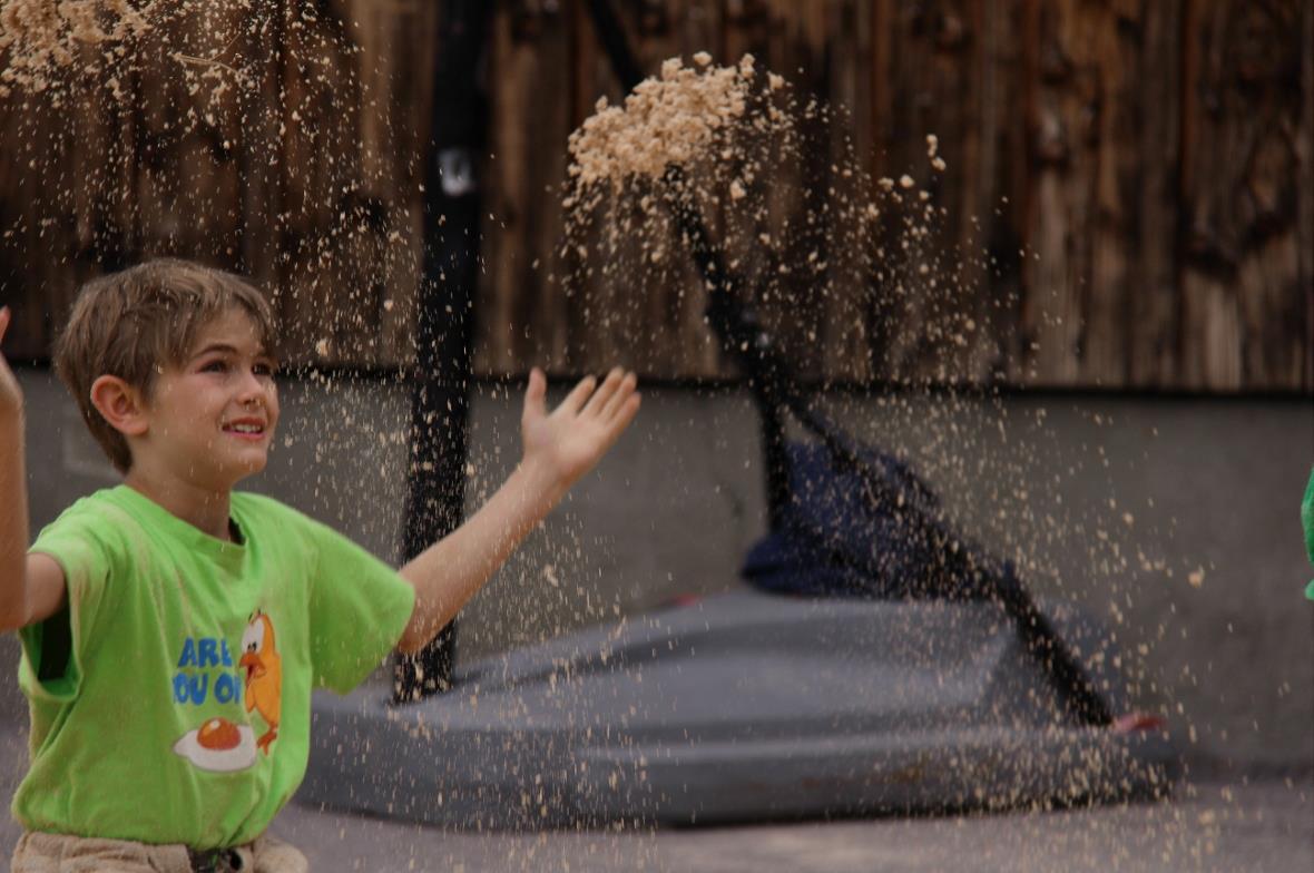 Es schneit Sägemehl …