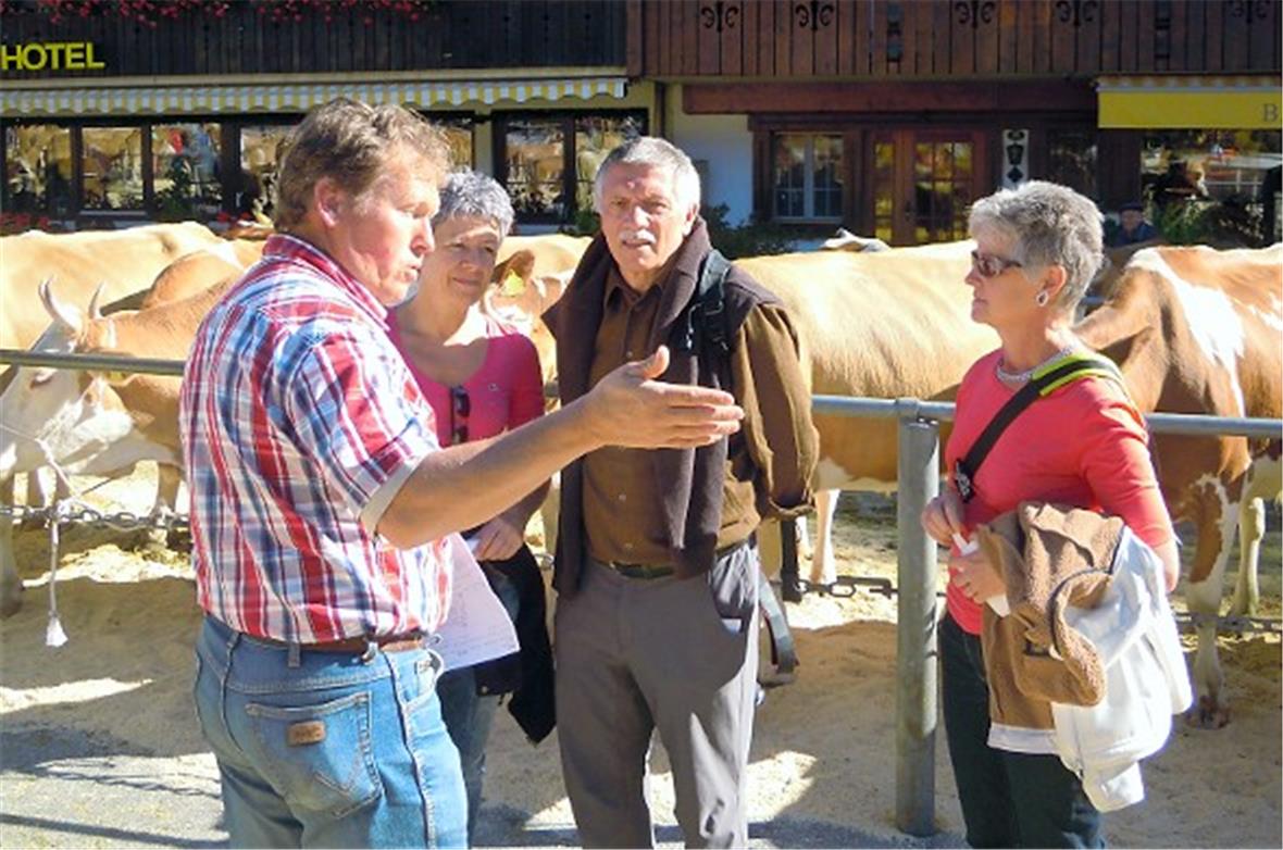 Experte Werner Bratschi erklärt am Workshop was ein Fundament ist.
