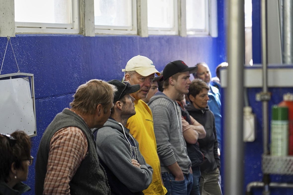 Fachkundiges und interessiertes Publikum beim Schaumelken am 10er-Melkstand.
