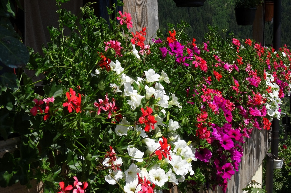 Fassadenschmuck in Zweisimmen.