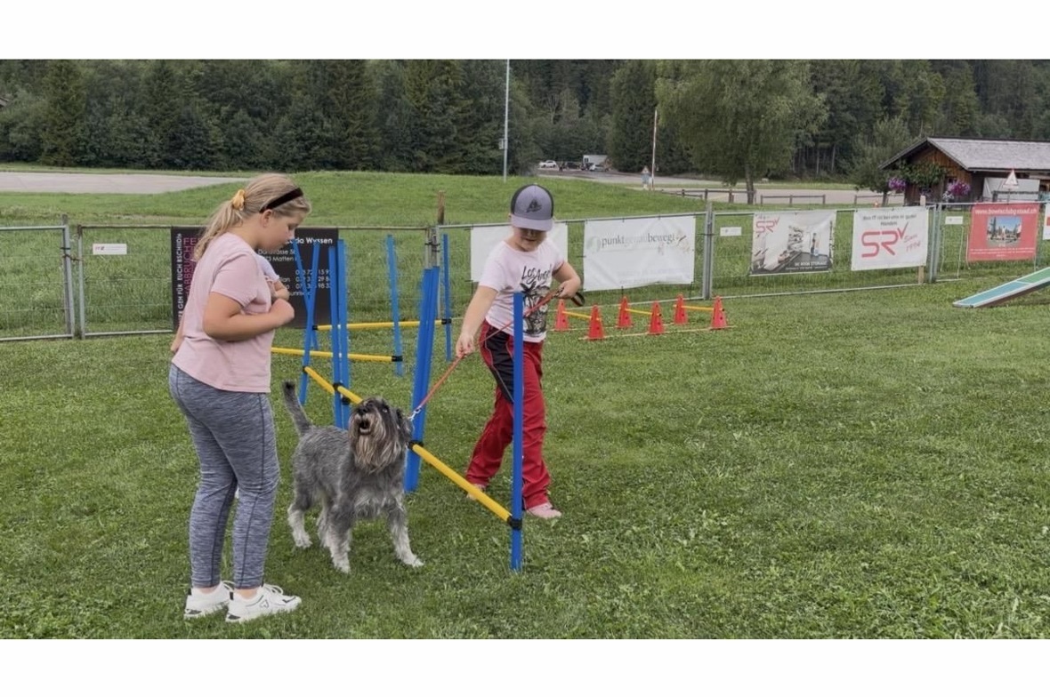 Ferienpass bei der Hundeschule St. Stephan: Mittelschnauzerhündin Unique mit zwe...