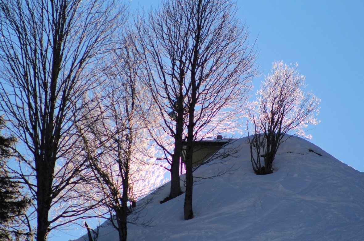 «Festbeleuchtung»: Bevor die Sonne gegen Mittag alles frühlingshaft erwärmte, za...