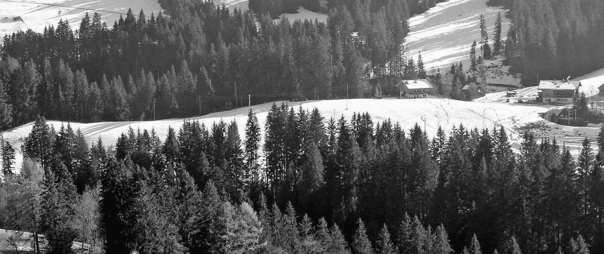 Spital STS AG liess eine Bombe platzen Flach soll gebaut werden, das sei der neue Trend. Nicht ungeeignet vierstöckig wie in Zweisimmen vorhanden, so sei man für die Zukunft flexibler, wurde an der Medienkonferenz verkündet.Rechts Parkplatz Saanerslochbahnen, dann folgt Land, welches nicht fürs Spital vorgesehen ist und im linken Teil am Wald anschliessend soll das Spital zu stehen kommen. Von der Hauptstrasse Saanenmöser muss eine Brücke über die kleine Simme zum Grundstück erstellt werden.
