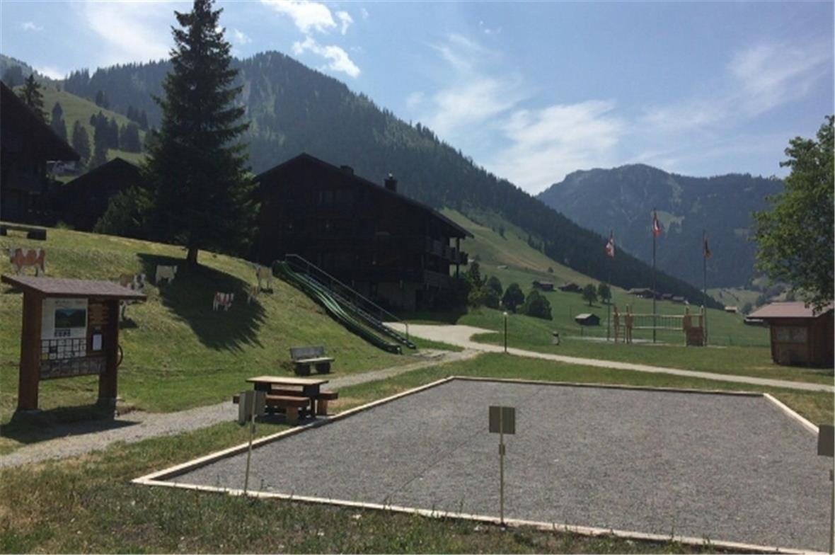 Frankreichs Nationalsport im Diemtigtal