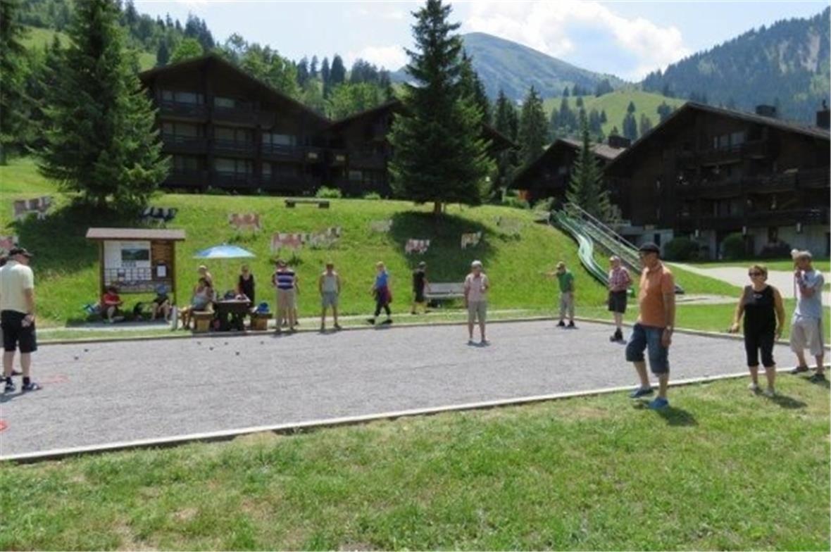 Frankreichs Nationalsport im Diemtigtal