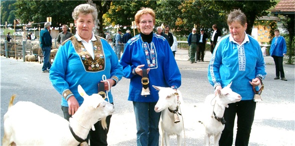 Frauen-Power, v.l. Martha Guggisberg mit Miss Schöneuter, Käthi Hirschi mit Miss Boltigen, Marie-Luise Hirschi mit Miss Gitzi.