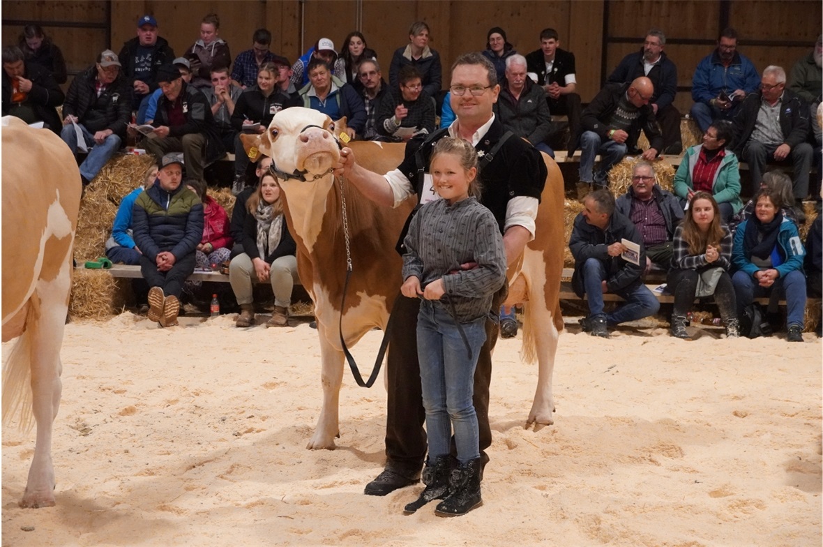 Früh übt sich: Fritz Niederhauser mit seiner Tochter und Kuh Flower.