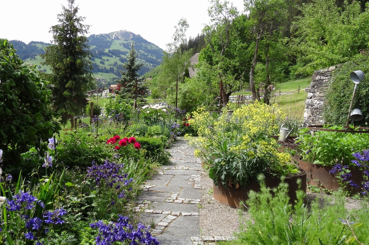 Frühlingsblumen in voller Blüte.