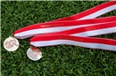 Für den zweiten Rang gab es eine Medaille.