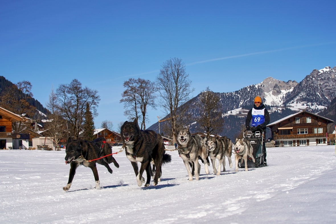Für ein Lächeln des Mushers ist immer Zeit – so wie bei Philipp Schöni aus Riken...
