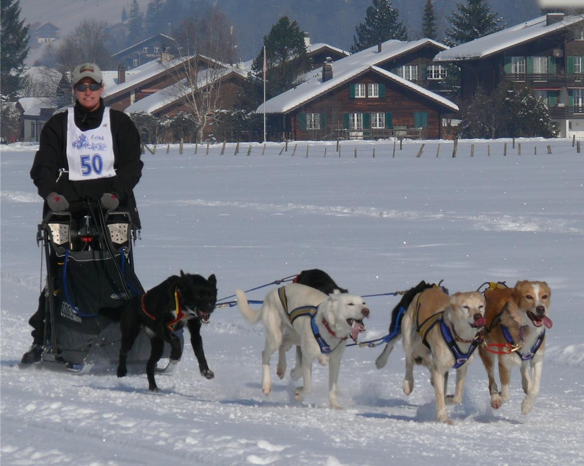 Gaby Pfister ist in Eschi, Boltigen aufgewachsen und wohnt heute in Goldiwil. In der Kategorie 6 Hunde durfte sie sich bei besten Verhältnissen 12 km ziehen lassen.