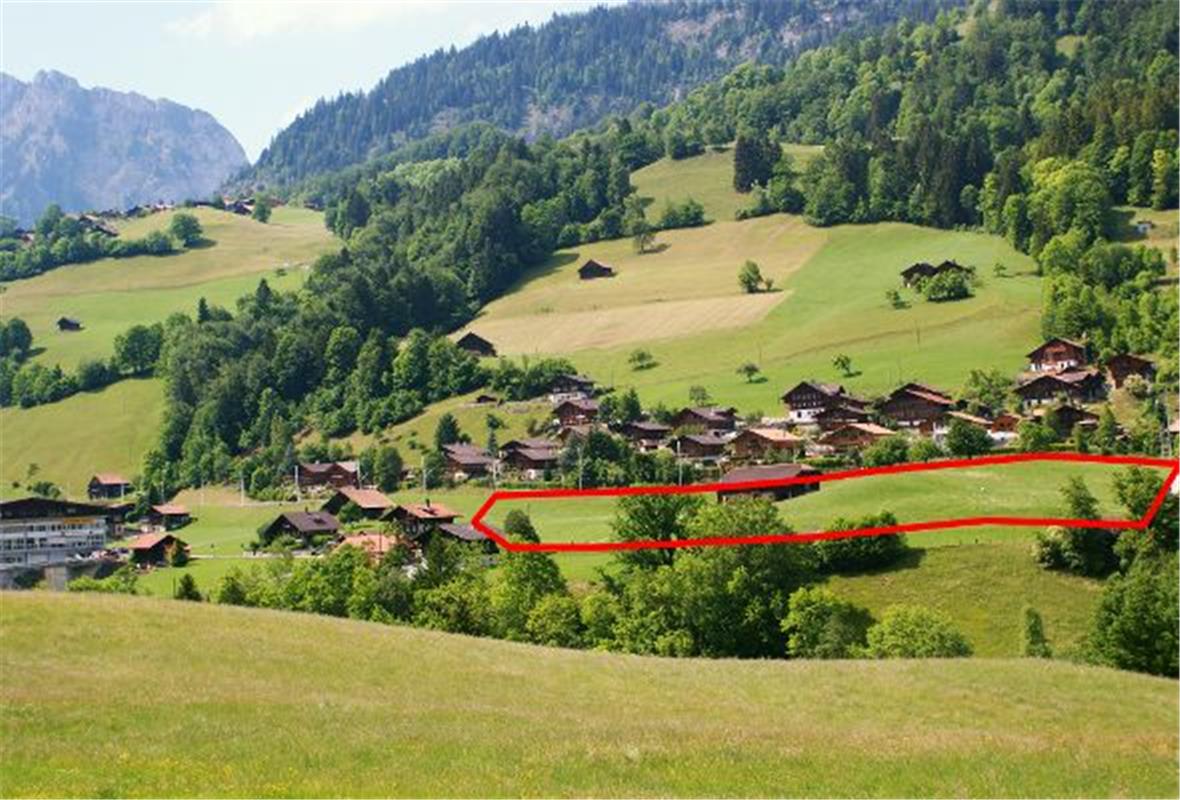 Ganz links: SAH-Produktionsstätte in der ehemaligen Mineralwasserfabrik.Rechts (rot umrahmt) die Reichenbachmatte als künftiger Standort.