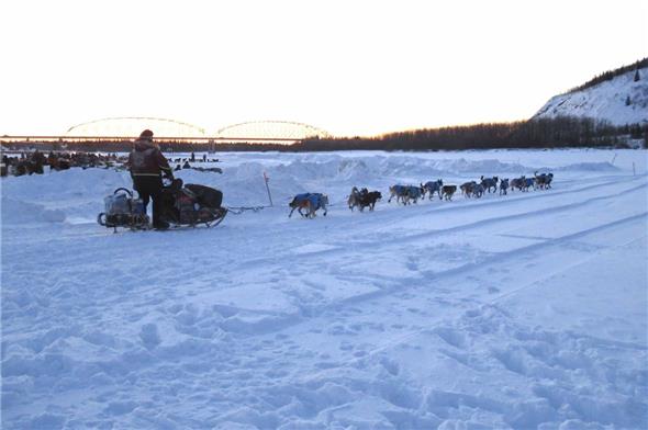 Gefährt am Iditarod 2019, weit in der Tundra Alaskas.