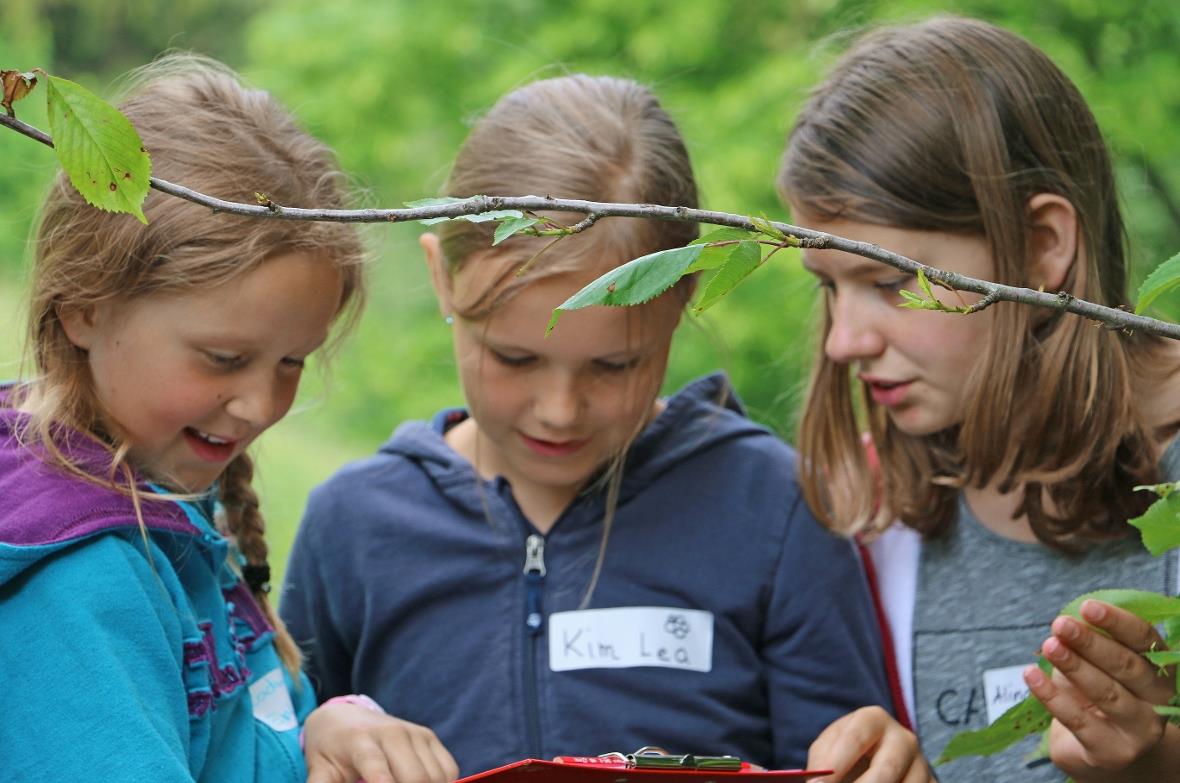 Gemeinsam die Hecke entdecken