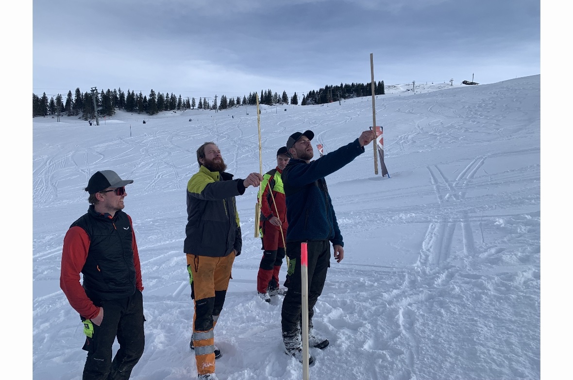 Genauer Blick beim Ausmessen, wohin die Tanne wohl fallen wird.