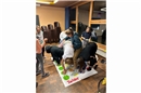 Genauso wichtig wie Turnen ist im Getu-Lager das Spielen. Und unsere Leiterinnen...