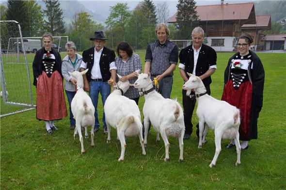 Gesamtbild der Missen (von links): Miss Junior «QUIZ» von Peter Schenk, Erlenbach; Miss Senior «LENA» von Annemarie Bühler, Därstetten; Miss Schöneuter Senior «RICA» von Monika und Samuel Hiltbrand, Weissenburg; Miss Schöneuter Junior «VRONI» aus dem Stall von Erwin Mani, Weissenburg.