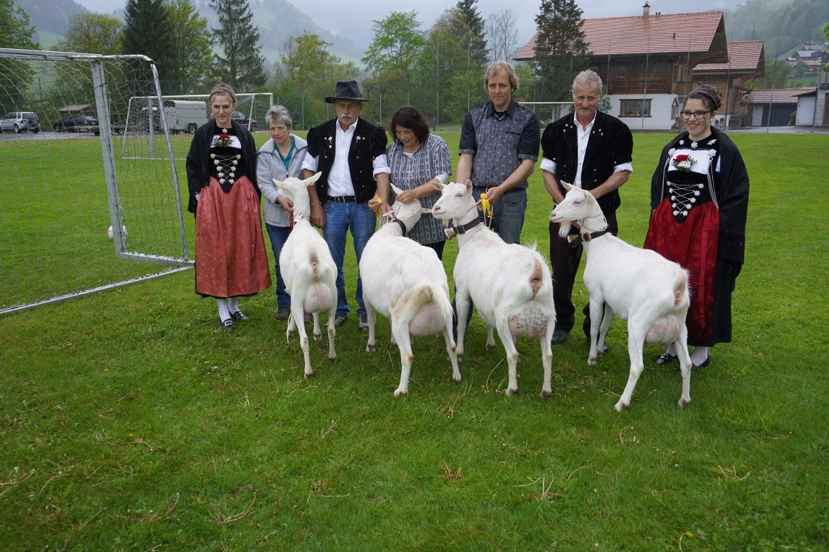 Gesamtbild der Missen: von links Miss Junior «QUIZ» von Schenk Peter, Erlenbach,...