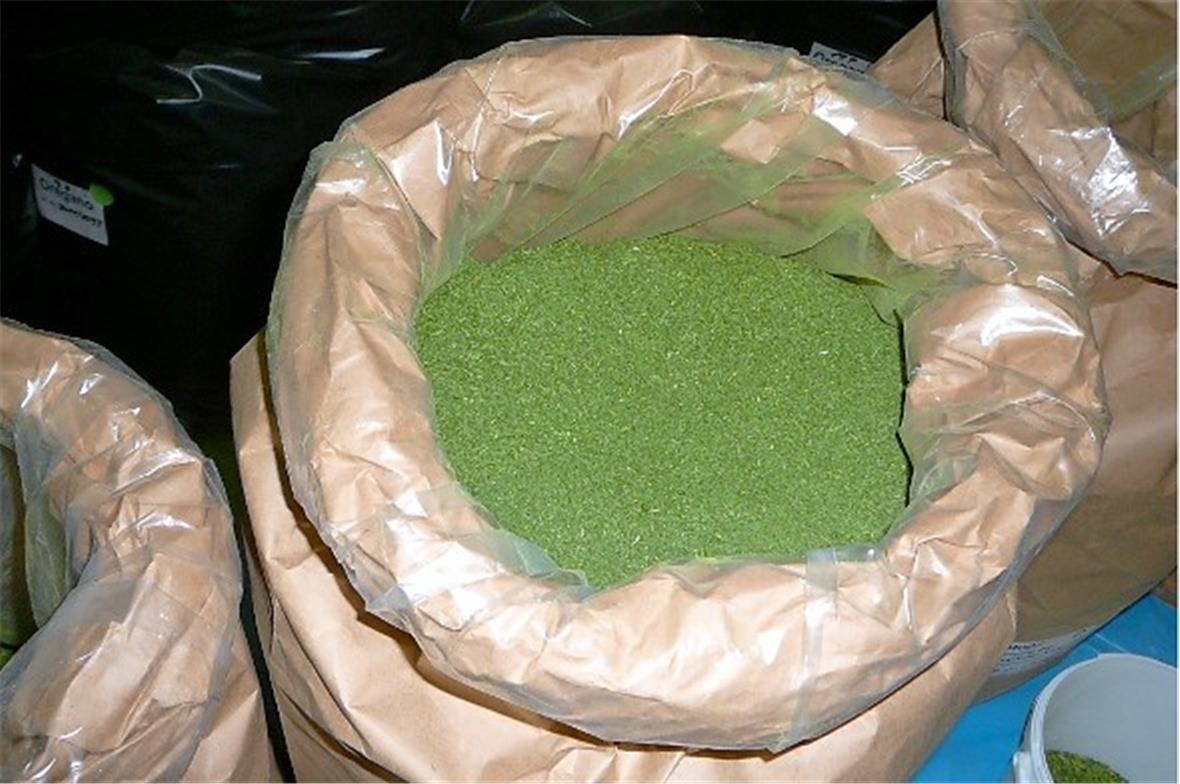 Getrocknete Petersile.