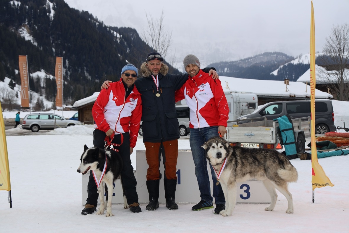 Gewinner Sprint, 4 Hunde, AM, S, G, 8 km / 5km