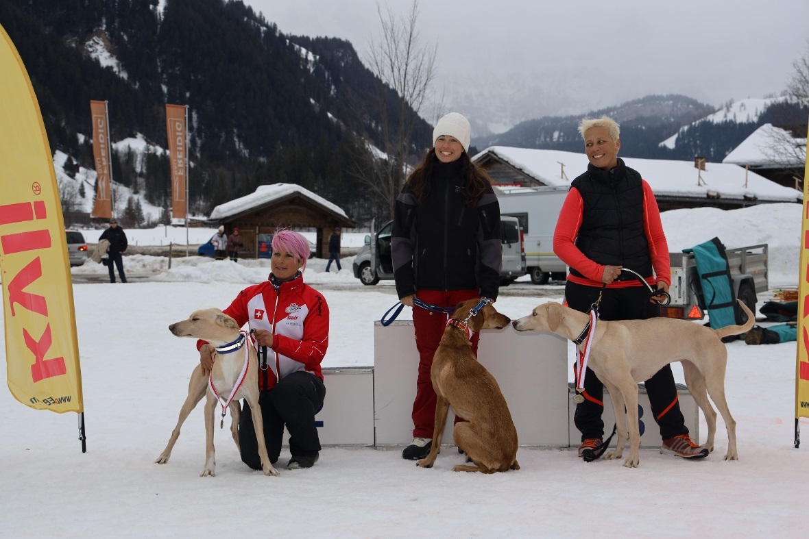 Gewinner Sprint, 4 Hunde offen 8 km / 5 km