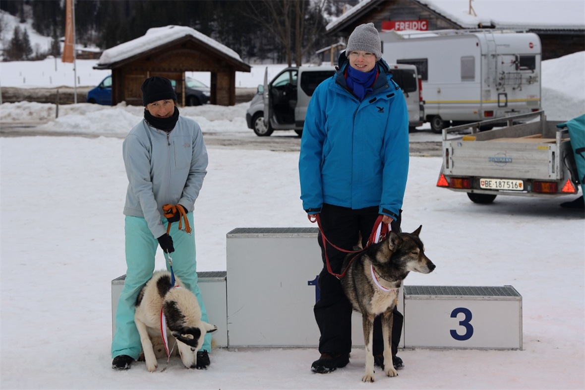GewinnerSprint,  2 Hunde, SH 8 km / 5 km