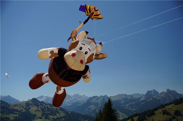 Grösste Attraktion am Drachenflugtag: Die Kuh, die sich freundlich aber majestätisch in den Himmel über dem Sparenmoos erhob.