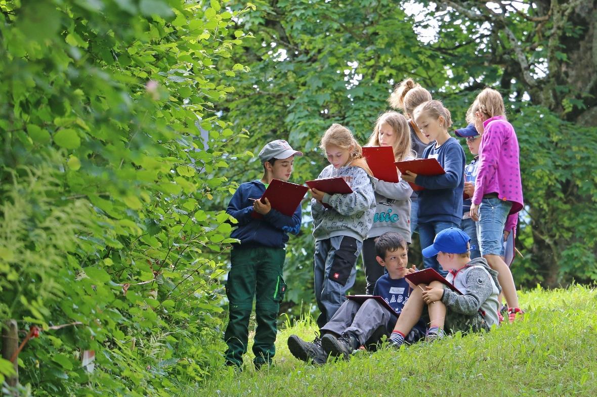 Gruppe beim Lösen der Aufgabe