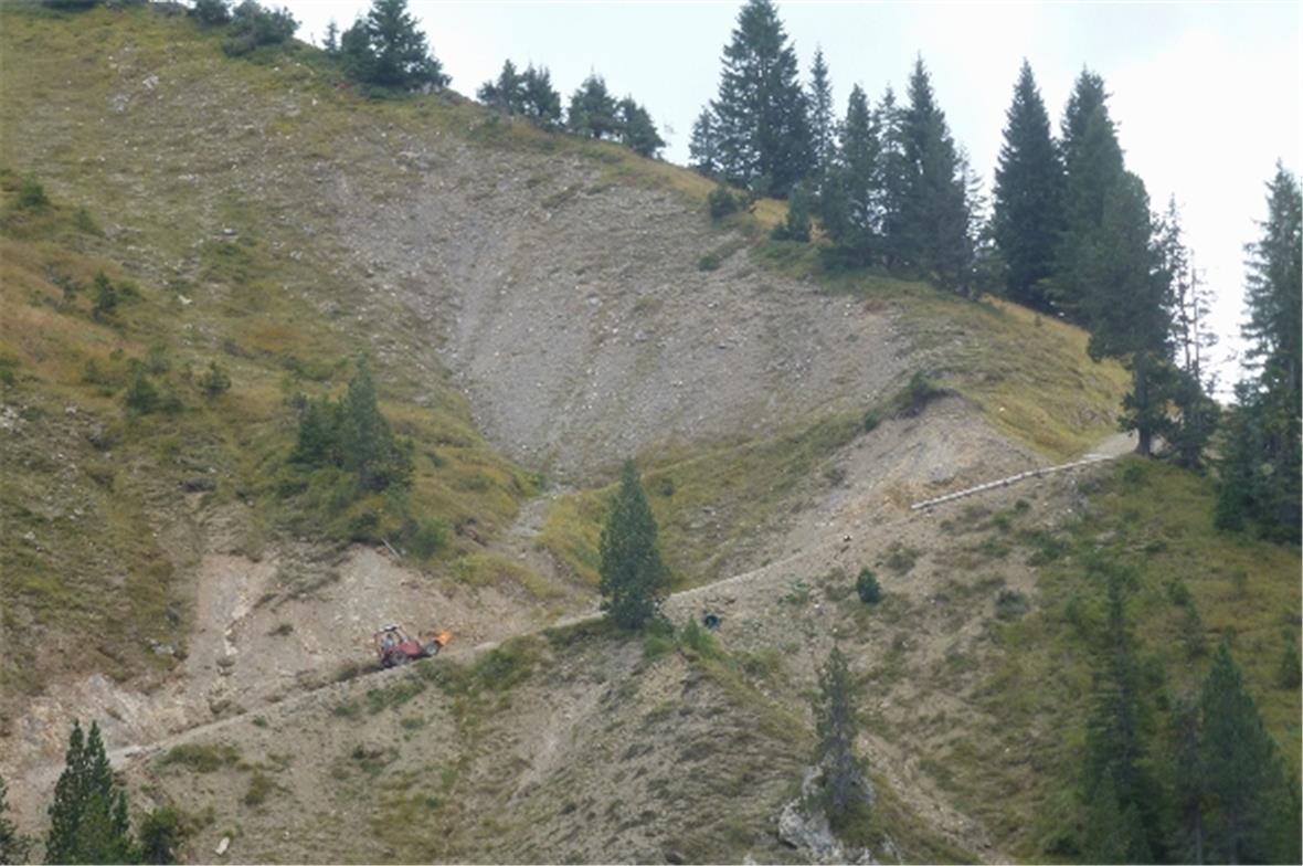 Hangrutschungen unterhalb der Alp Wirie.