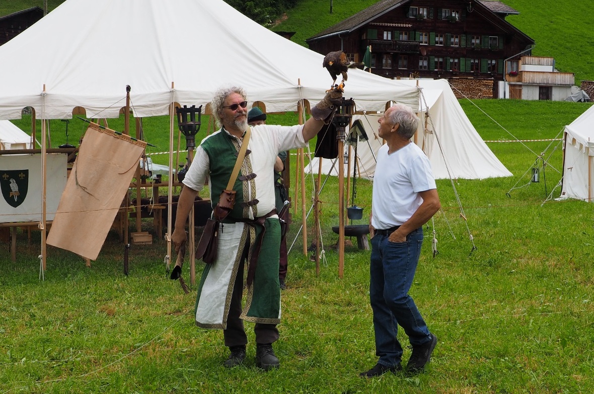 Harris-Hawk «Avalon», oder auch Wüstenbussard, zeigte, wie er nach einem kurzen ...
