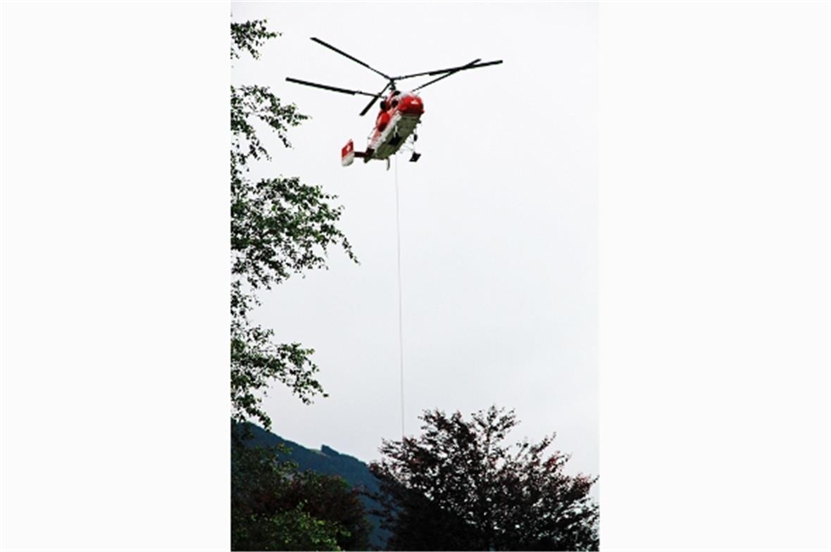 Heikle Lastablage im Wald